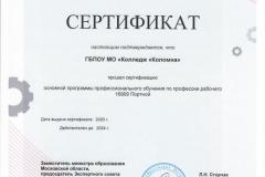 Сертификат-16909-Портной-ПО